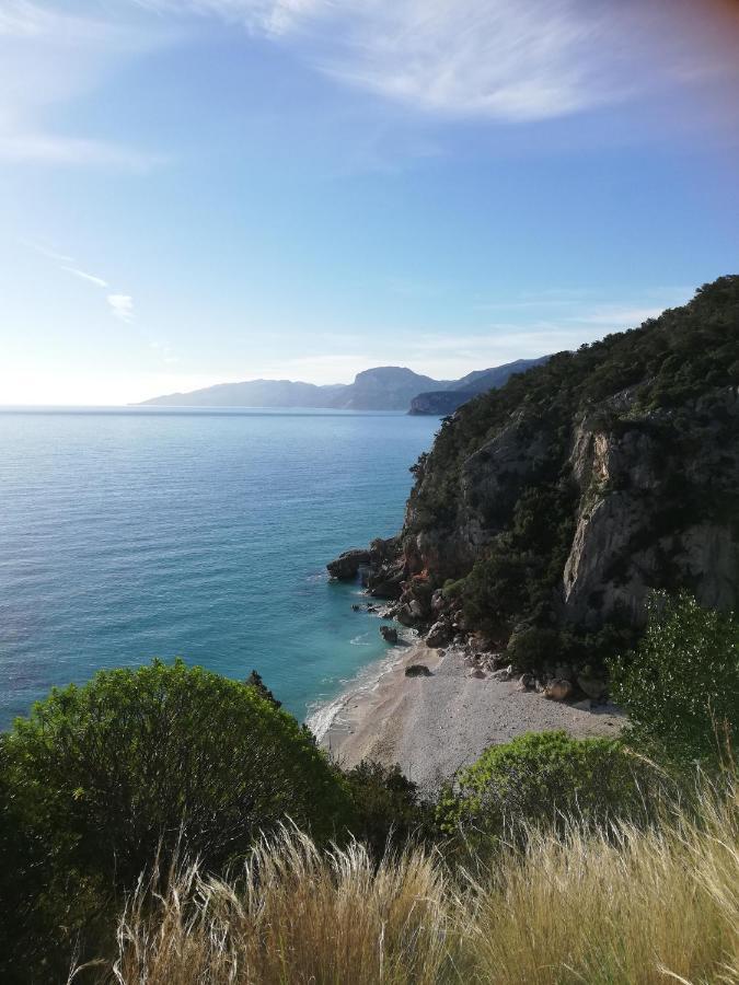 Appartamenti Le Conchiglie E Le Stelle Marine Cala Gonone Eksteriør billede