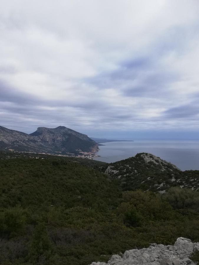 Appartamenti Le Conchiglie E Le Stelle Marine Cala Gonone Eksteriør billede
