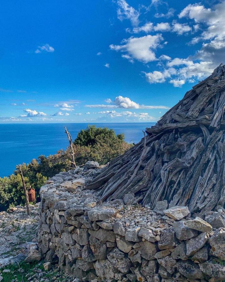 Appartamenti Le Conchiglie E Le Stelle Marine Cala Gonone Eksteriør billede