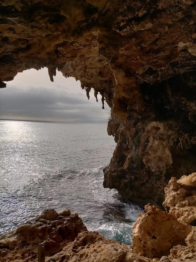 Appartamenti Le Conchiglie E Le Stelle Marine Cala Gonone Eksteriør billede