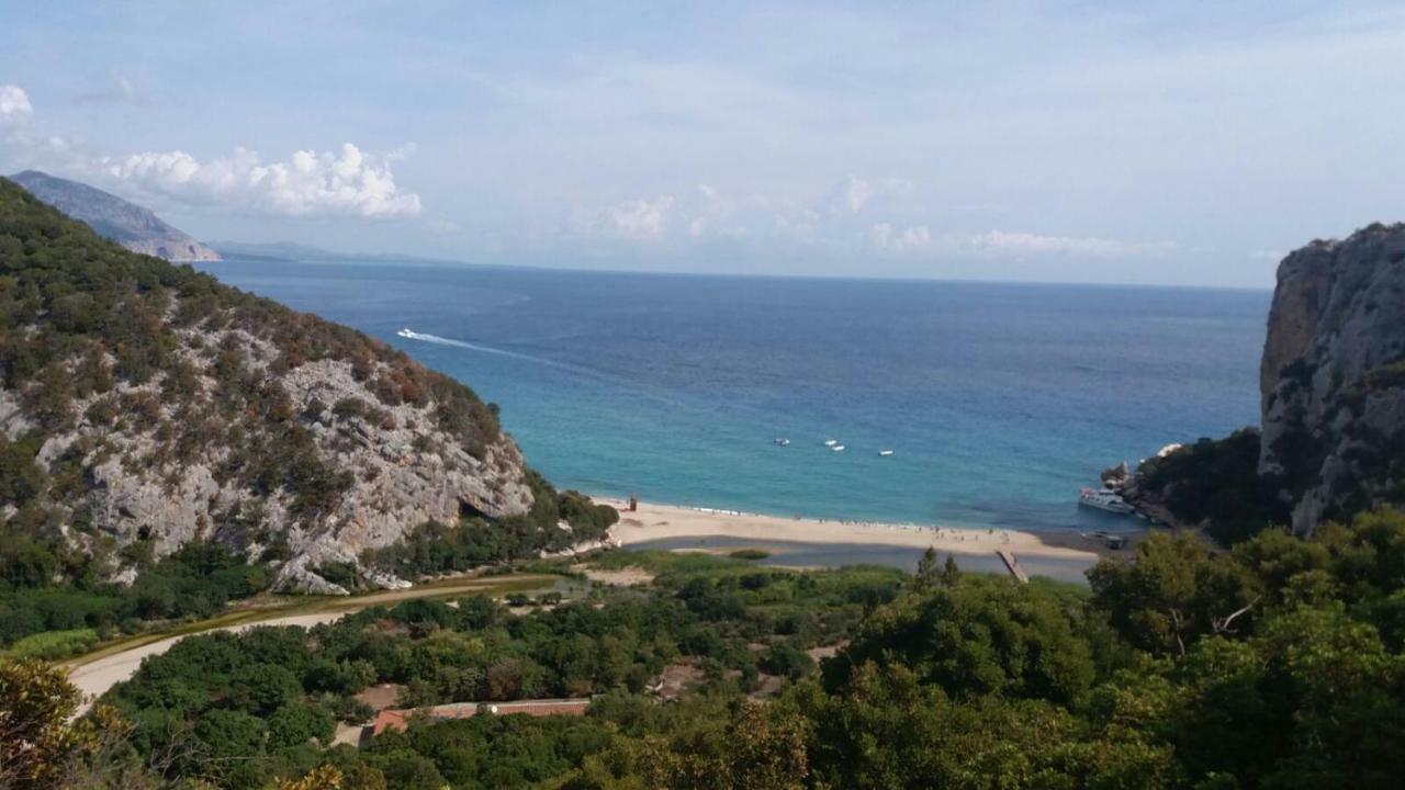 Appartamenti Le Conchiglie E Le Stelle Marine Cala Gonone Eksteriør billede