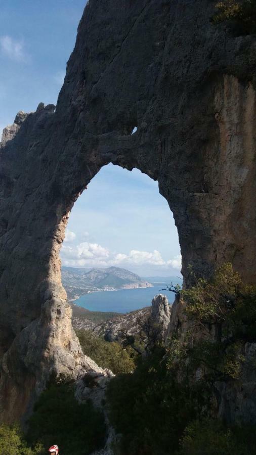 Appartamenti Le Conchiglie E Le Stelle Marine Cala Gonone Eksteriør billede